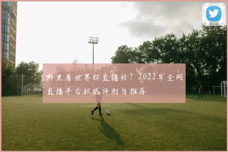 哪里看世界杯直播好？2022年全网直播平台权威评测与推荐